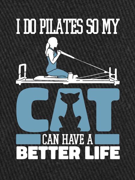 Pilates cat