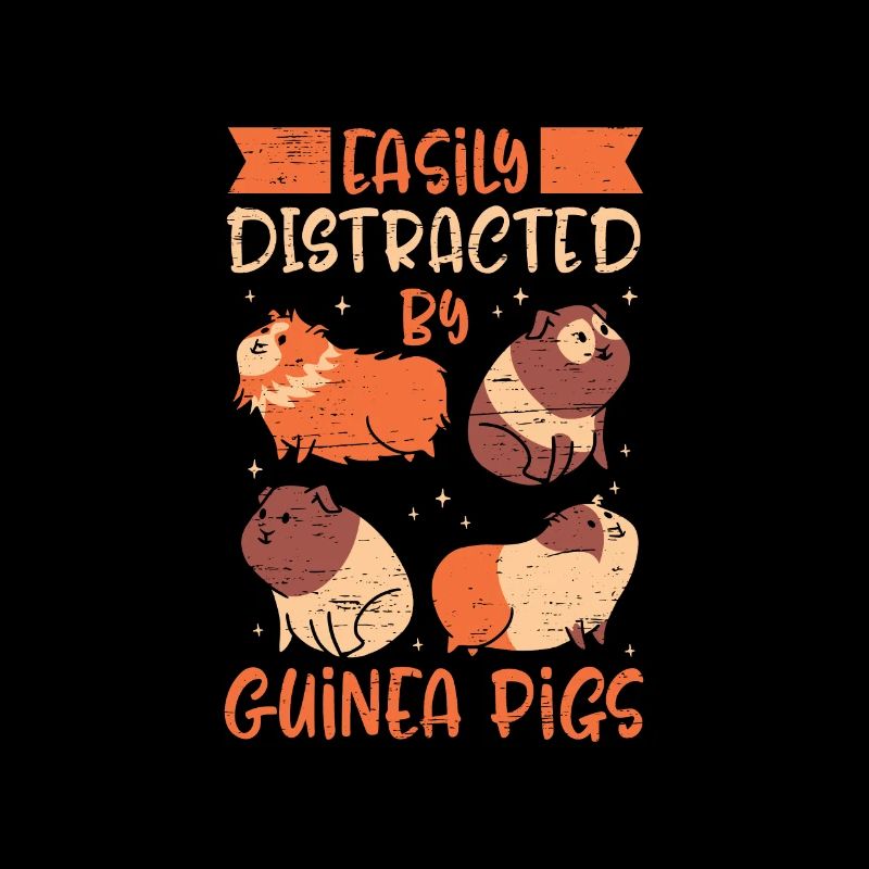 Facilement distrait par les cochons d’Inde