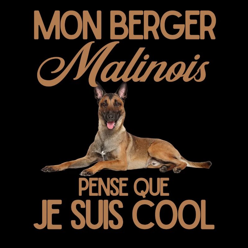 Berger malinois