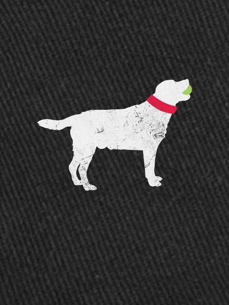 Labrador
