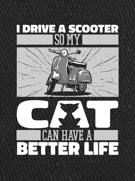Scooter Cat
