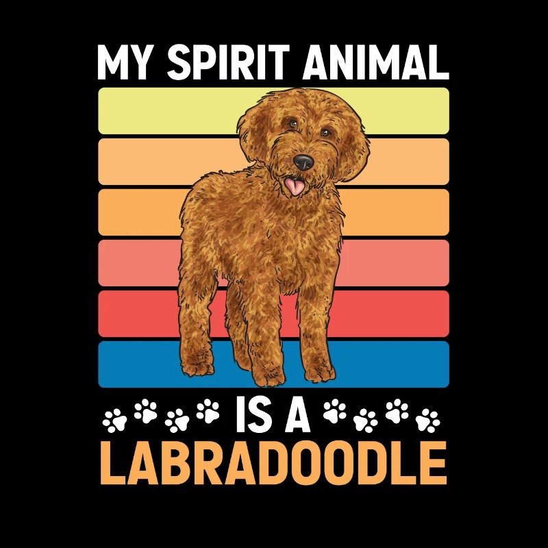 Labradoodle Chien