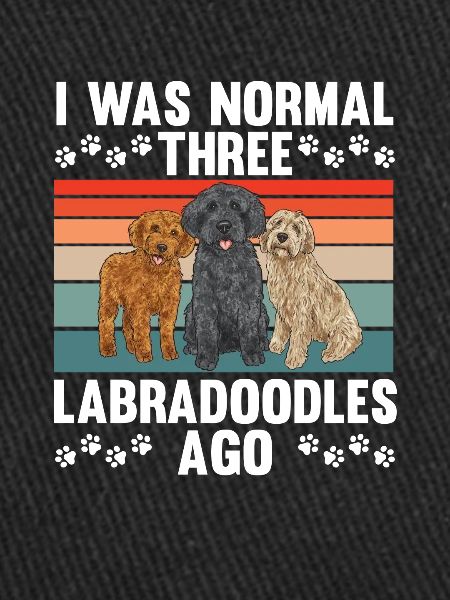 Labradoodle Dog