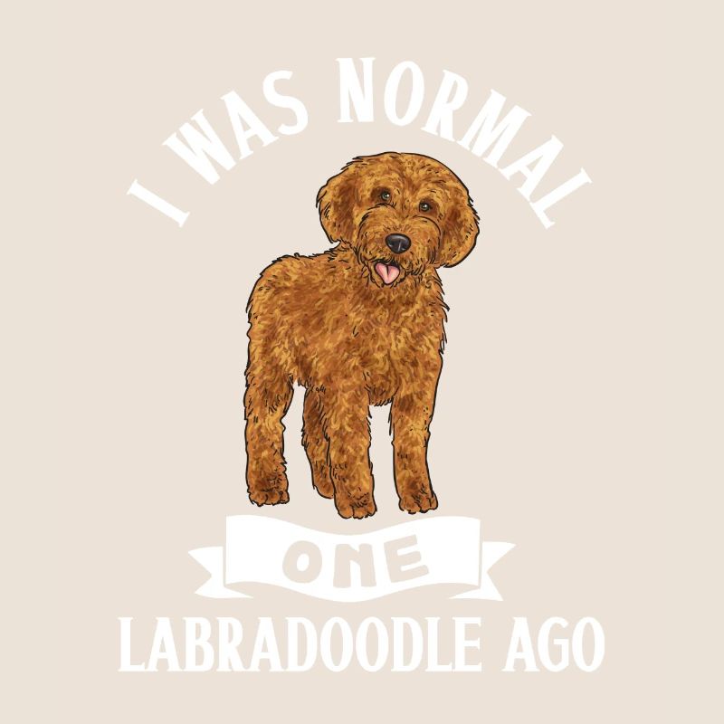 Labradoodle Chien