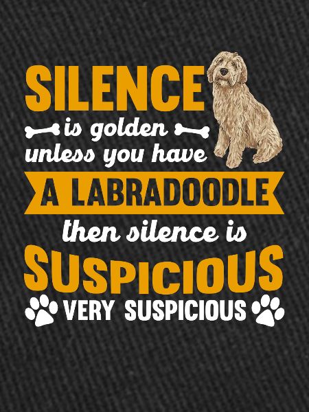 Labradoodle Chien