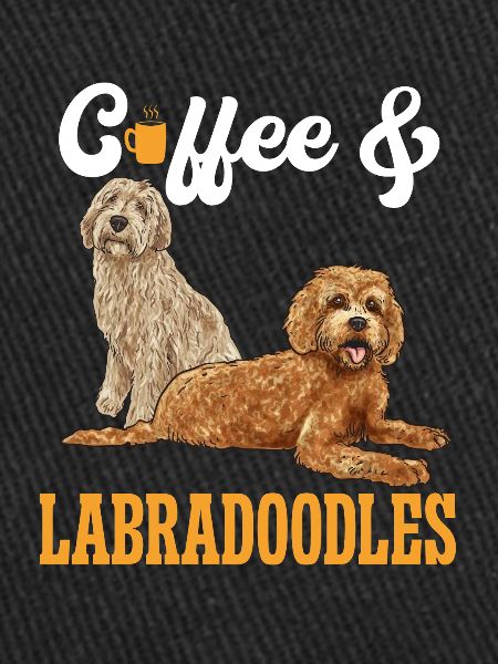 Labradoodle Dog