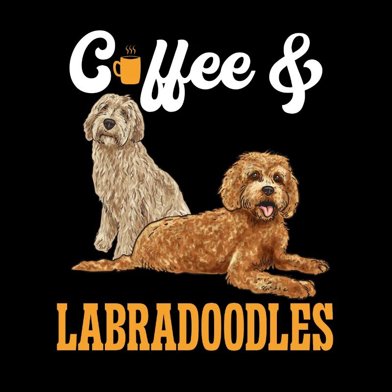 Labradoodle Hund