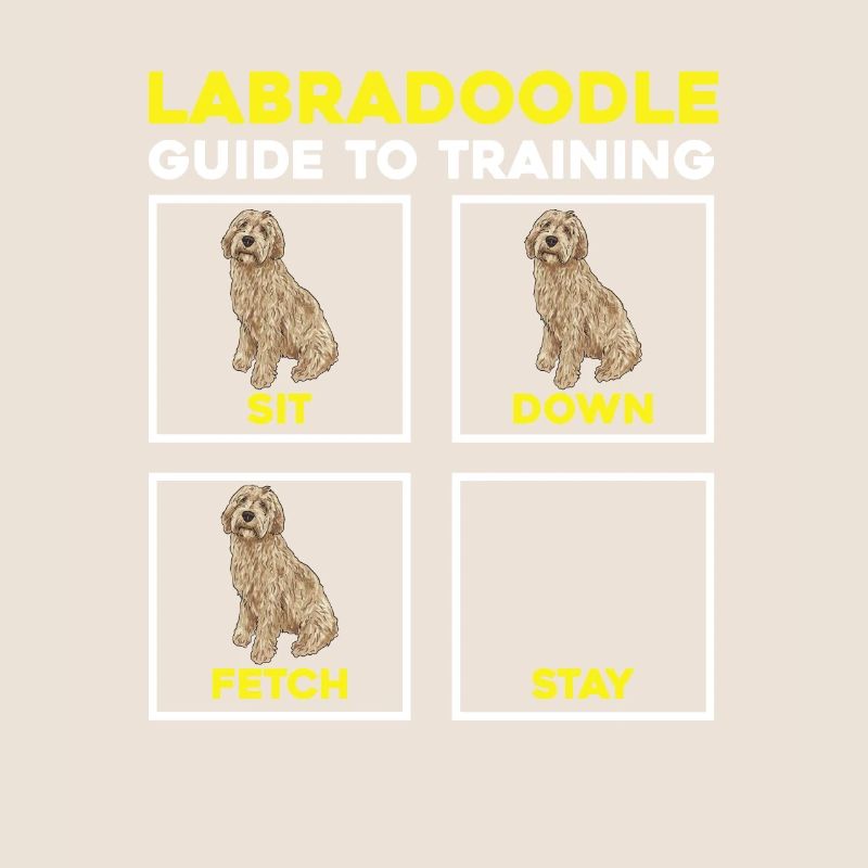Labradoodle Chien