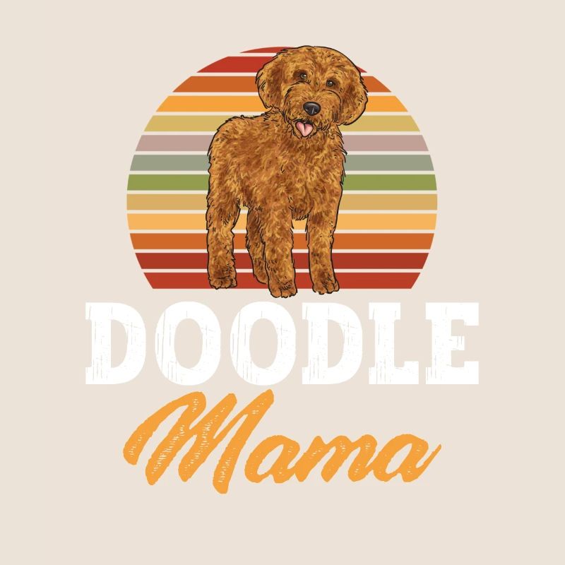 Labradoodle Chien