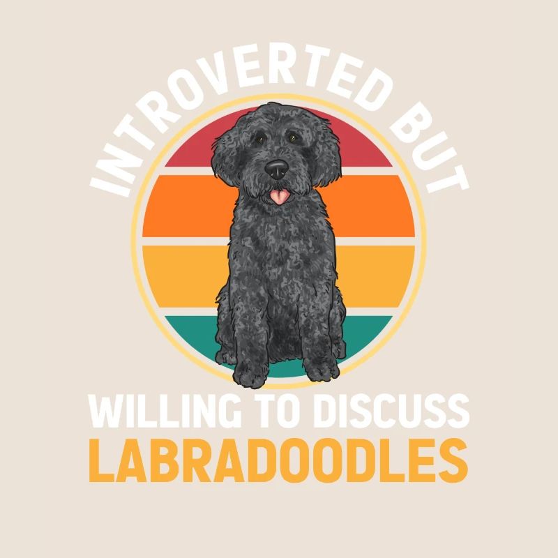 Labradoodle Hund