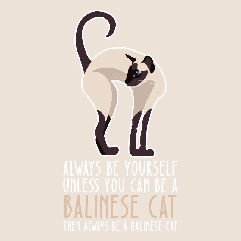 Be Yourself - Balinese Cat
