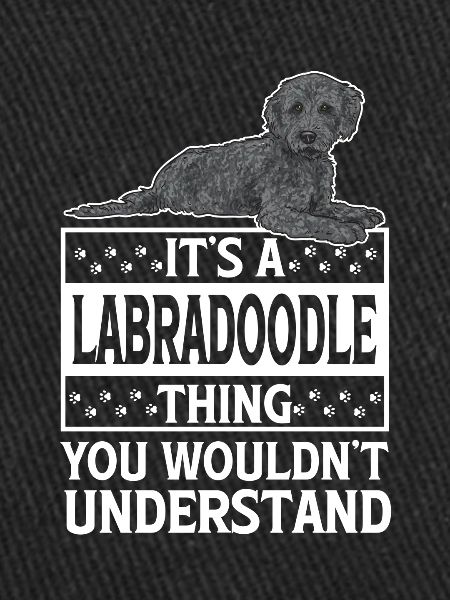 Labradoodle Dog