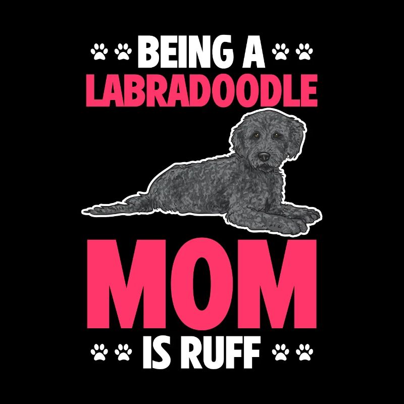 Labradoodle Chien