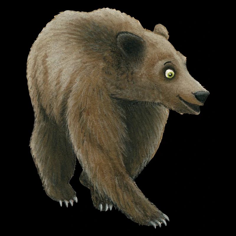 grizzly bear