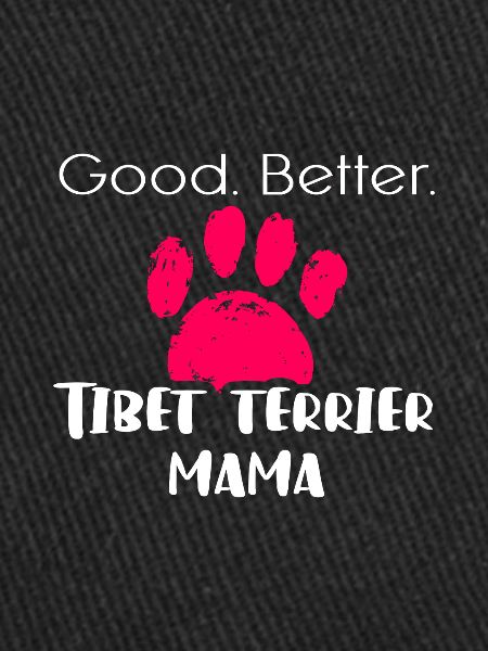Terrier tibétain