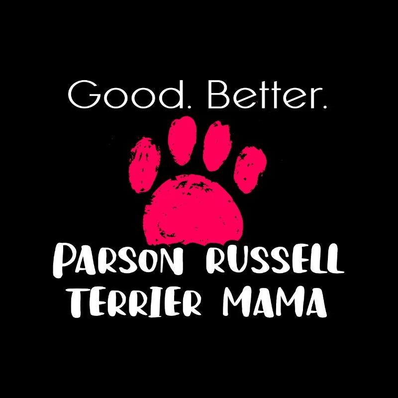 Parson Russell Terrier