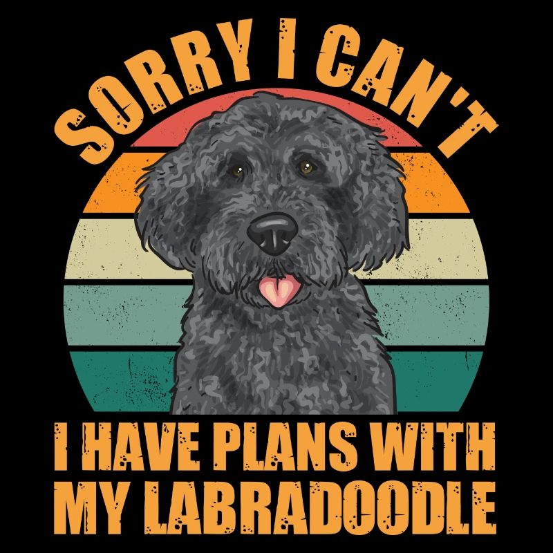 Labradoodle Chien
