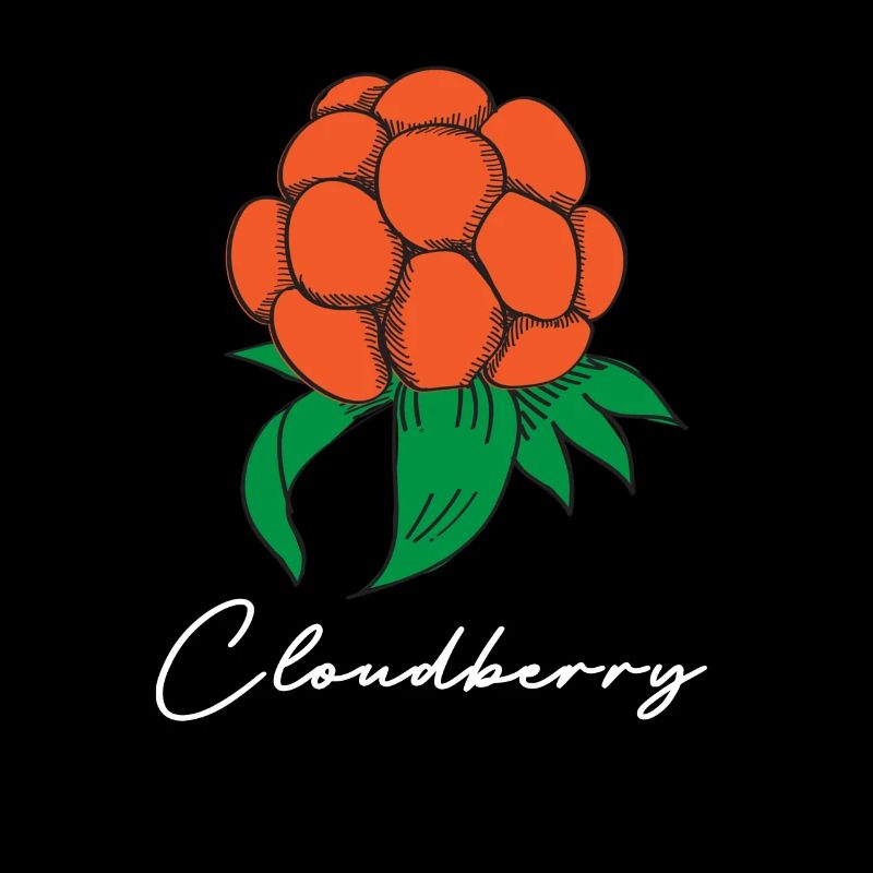 Hjortron Cloudberry Suède Fruit Berry