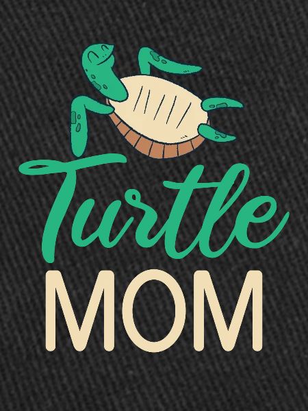 Turtle Owner Gift Turtle Lover