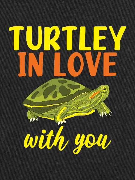 Turtle Owner Gift Turtle Lover