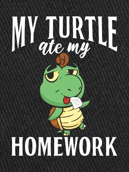 Turtle Owner Gift Turtle Lover