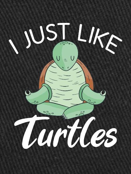 Turtle Owner Gift Turtle Lover