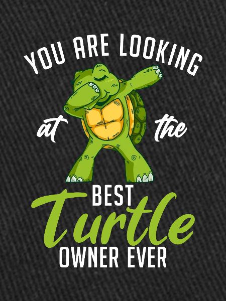 Turtle Owner Gift Turtle Lover