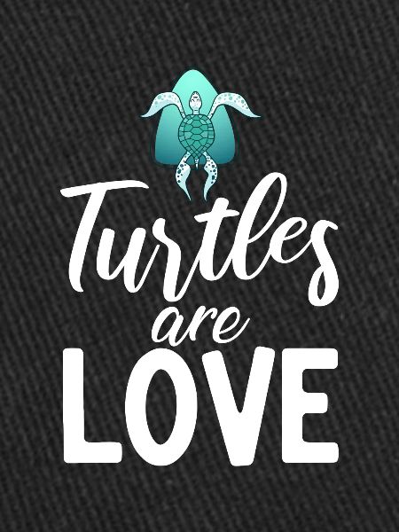Turtle Owner Gift Turtle Lover