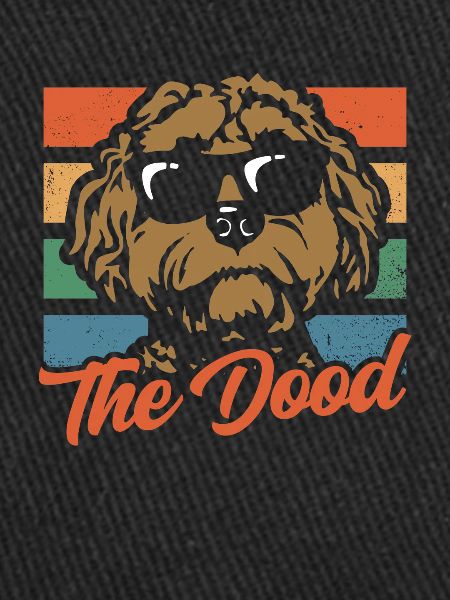 Le Dood Doodle Labradoodle Goldendoodle