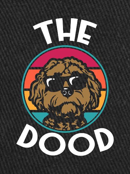 Le Dood Doodle Labradoodle Goldendoodle