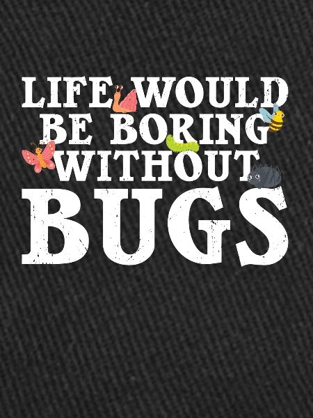 Insecte