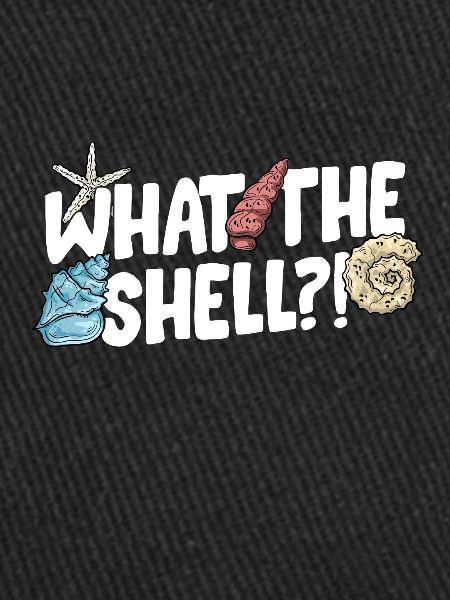 Collecting shells
