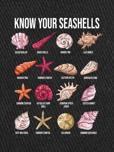Espèces de moules
