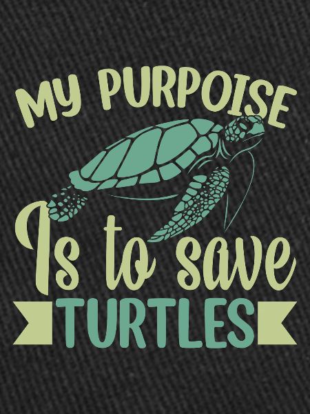Turtles Sea turtles