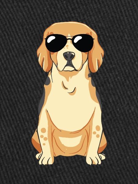 Beagle puppy with sunglasses