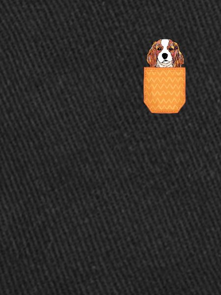 Sac pour chiots Charles Spaniel