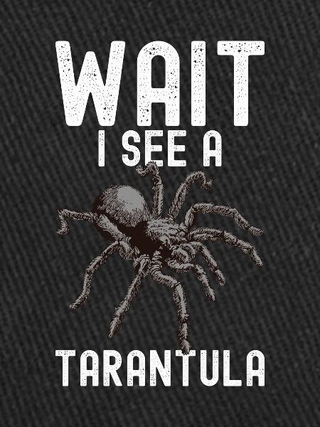 Tarentule