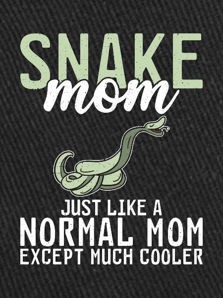 Snake Gift Snake Lover
