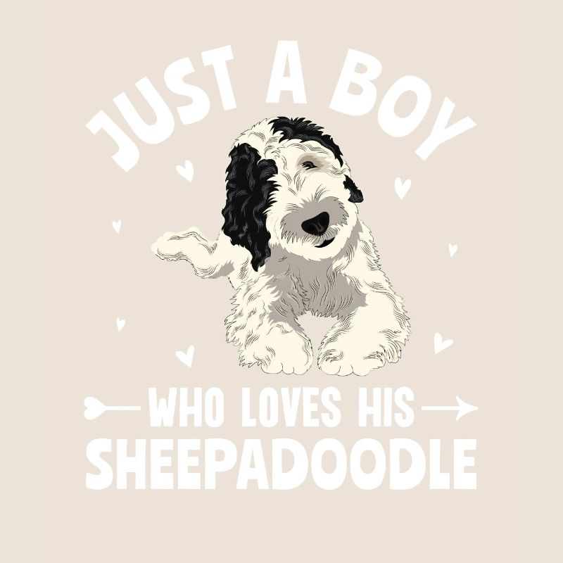 Sheepadoodle Doodle Hund