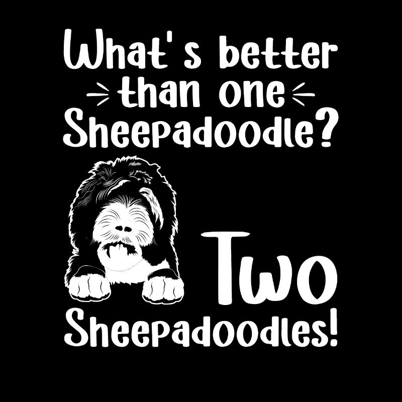 Sheepadoodle Doodle Dog