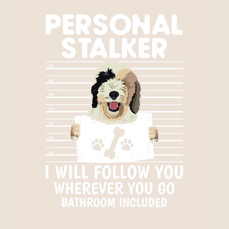 Sheepadoodle Doodle Dog