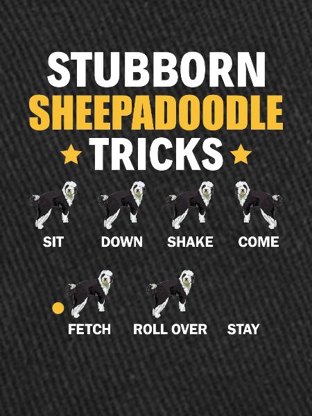 Sheepadoodle Doodle Chien