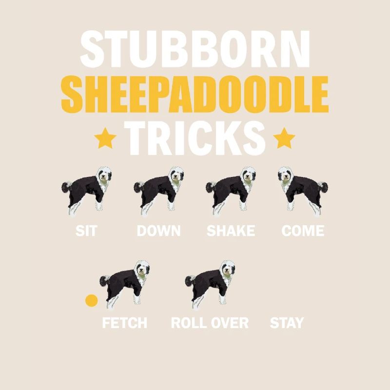 Sheepadoodle Doodle Hund