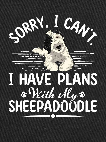 Sheepadoodle Doodle Dog