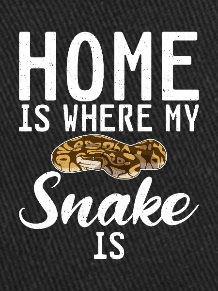 Snake Gift Snake Lover