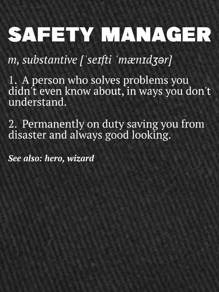 Safety Manager Sicherheitsbeauftragter