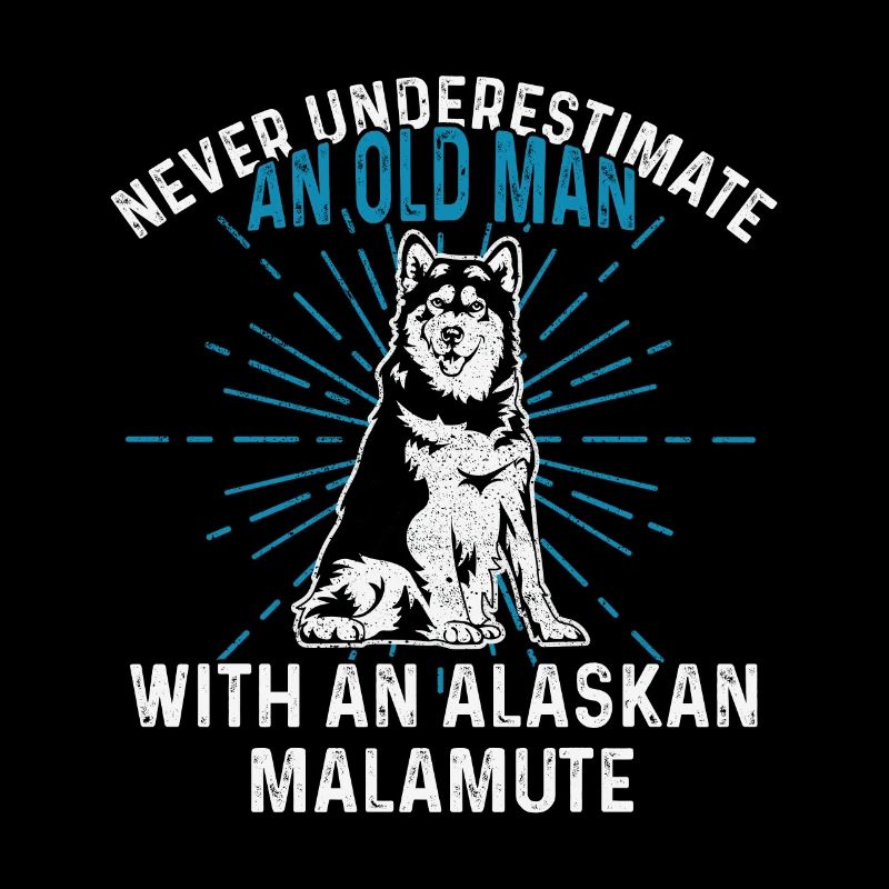 Chien Malamute d’Alaska