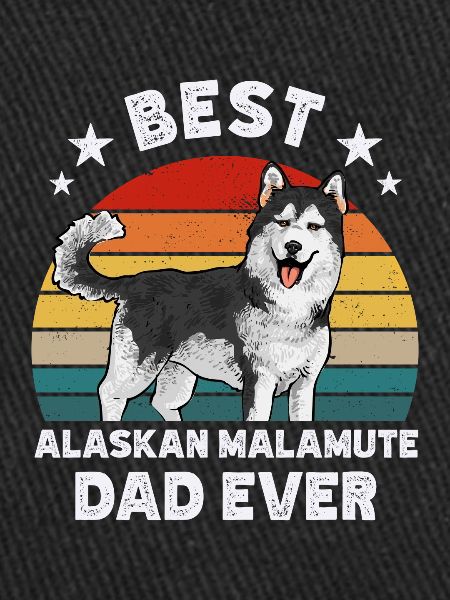 Chien Malamute d’Alaska