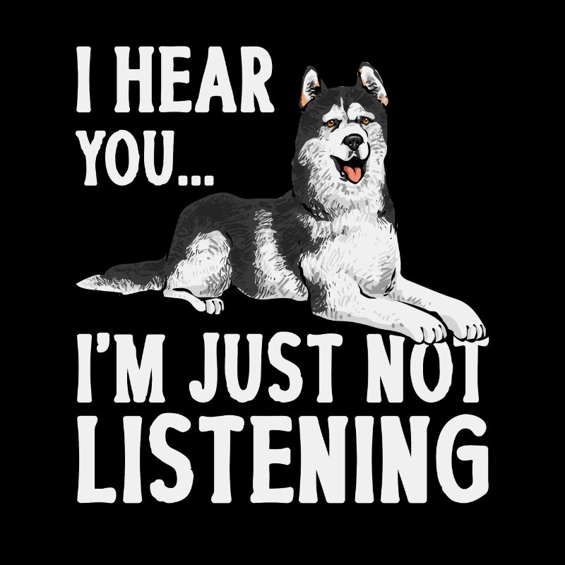 Chien Malamute d’Alaska