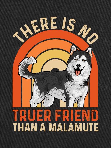 Chien Malamute d’Alaska